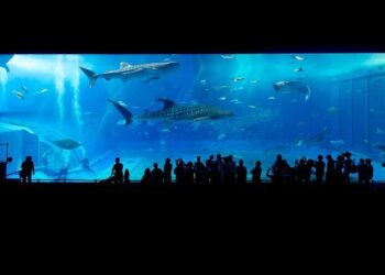 Royal Tank Regiment completes wargames in Estonia near Russian border – Salisbury Journal