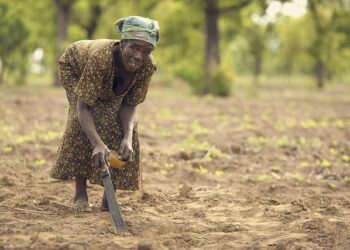 ‘The Ancestors Were Speaking’: My Pilgrimage to Ghana – Word In Black