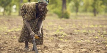 ‘The Ancestors Were Speaking’: My Pilgrimage to Ghana – Word In Black