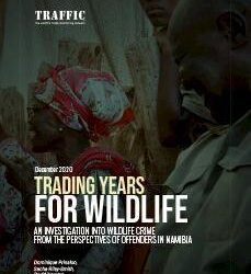 112 alleged forex offenders in Ethiopia rounded up – APAnews – Agence de Presse Africaine