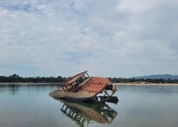 Portugal’s EDP to invest $14 billion through 2028 but earnings targets disappoint – Reuters