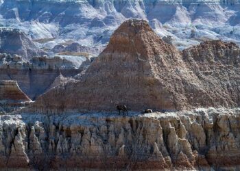 BUILDING SHARED SECURITY: NORTH DAKOTA NATIONAL GUARD AND TOGO PARTNERSHIP – U.S. Embassy in Togo (.gov)