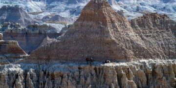 BUILDING SHARED SECURITY: NORTH DAKOTA NATIONAL GUARD AND TOGO PARTNERSHIP – U.S. Embassy in Togo (.gov)