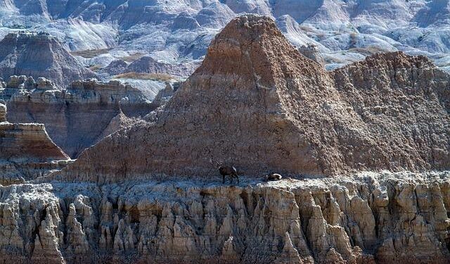 BUILDING SHARED SECURITY: NORTH DAKOTA NATIONAL GUARD AND TOGO PARTNERSHIP – U.S. Embassy in Togo (.gov)