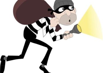 Bandits Sack Niger State Communities, Kill 16 Vigilantes, Abduct Dozens Of Residents In Fresh Attack – Sahara Reporters