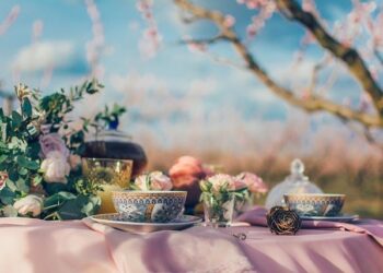 World Cup qualifying: Greece v Scotland LIVE – updates, report, reaction & analysis from Athens – BBC