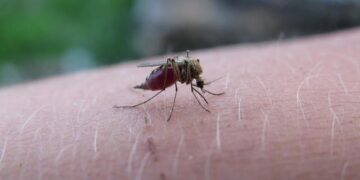 UC Malaria Initiative Expands Acivities to Equatorial Guinea – UC Davis