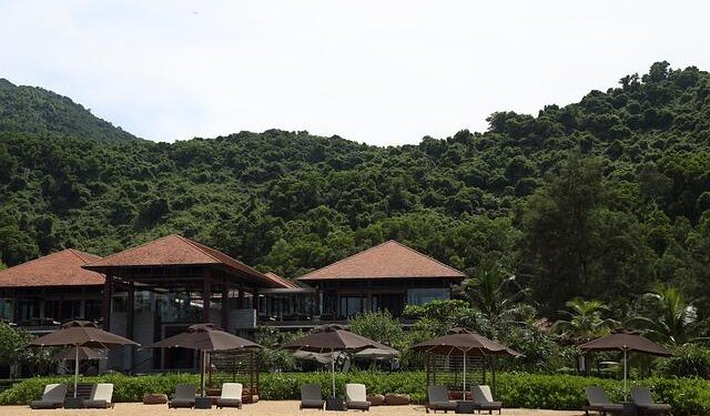 Franco Mostert red card: Why was South Africa lock sent off against Italy? – The Independent