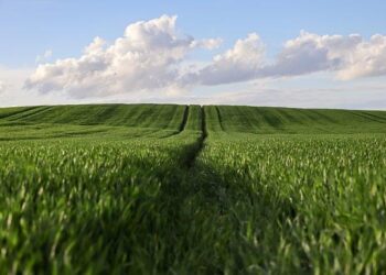 Niue’s battle for land legacy: ‘United we stand, divided we fall’ – Pacific Media Network