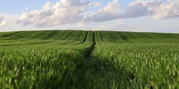 Niue’s battle for land legacy: ‘United we stand, divided we fall’ – Pacific Media Network