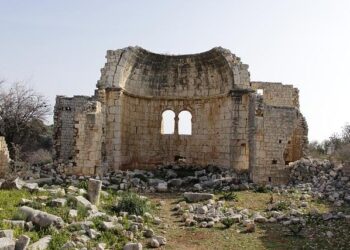 Türkiye ready to host COP31 alone if Australia rejects co-chairmanship – Hürriyet Daily News