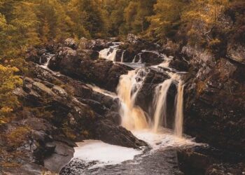 Scotland’s papers: Free weight loss jabs and push to ‘oust’ Andrew – BBC