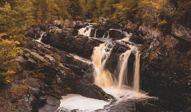 Scotland’s papers: Free weight loss jabs and push to ‘oust’ Andrew – BBC