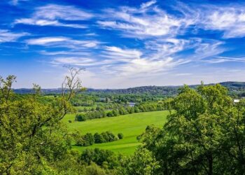 BFW Question of the Day: What were your biggest takeaways from Germany’s 2-0 win over Luxembourg – Bavarian Football Works