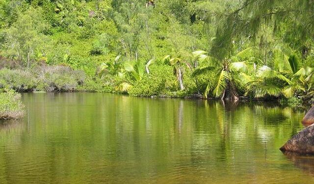 Vistra Seychelles: Two decades of growth, integration and commitment – Vistra