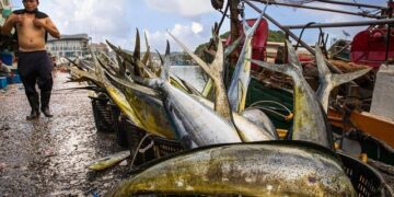 Beaufort County deputies investigate body found on Saint Helena Island – WCIV