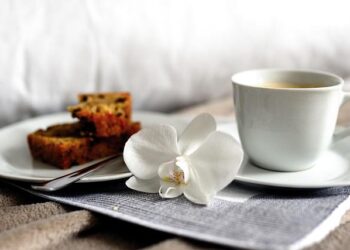 Shelter in place order lifted, roadway reopened after gas main break in Navarre – Pensacola News Journal