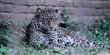 Burundi Validates National Data Governance Strategy – United Nations Economic Commission for Africa