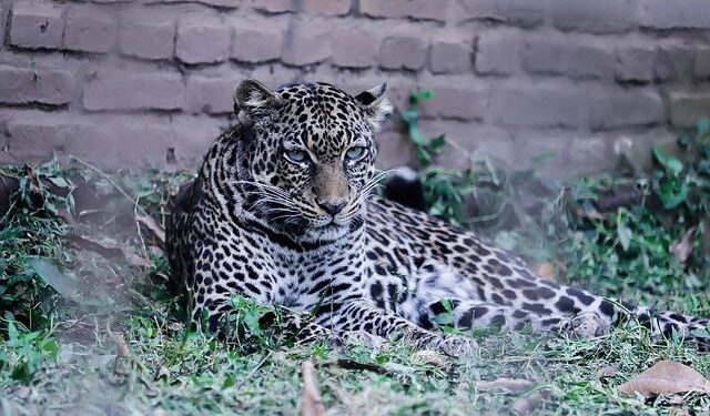 Burundi Validates National Data Governance Strategy – United Nations Economic Commission for Africa