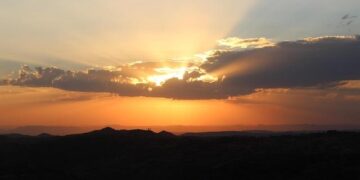 From State-Building to State-Failure: What Went Wrong in Eritrea? – horn review