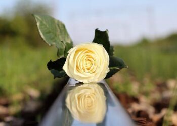 FBI Seeks the Public’s Help in Finding Missing Children in Saipan | Federal Bureau of Investigation – fbi.gov