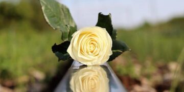 FBI Seeks the Public’s Help in Finding Missing Children in Saipan | Federal Bureau of Investigation – fbi.gov