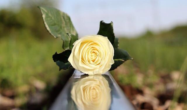 FBI Seeks the Public’s Help in Finding Missing Children in Saipan | Federal Bureau of Investigation – fbi.gov