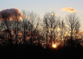 An east-west divide deeper than the cold war: what I saw on my summer trip to Russia – The Conversation