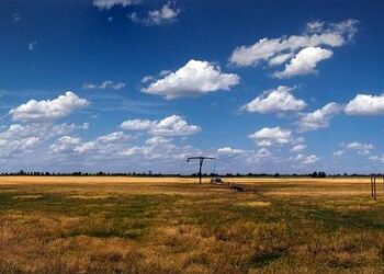 Tanya Oxtoby: Northern Ireland manager in talks over Newcastle United job – BBC