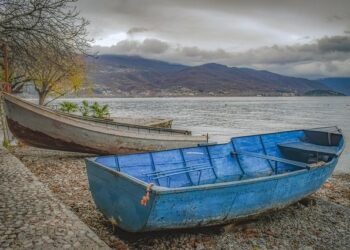 North Macedonia’s NATO Contributions, Deterrence and Defence & Support to Ukraine in focus – NATO PA