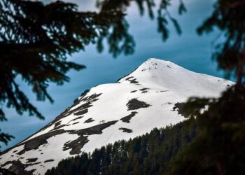 Kosovo president sets December 28 as date for snap vote – Reuters