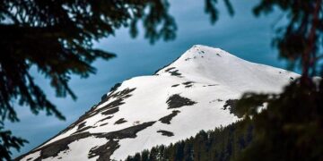 Kosovo president sets December 28 as date for snap vote – Reuters