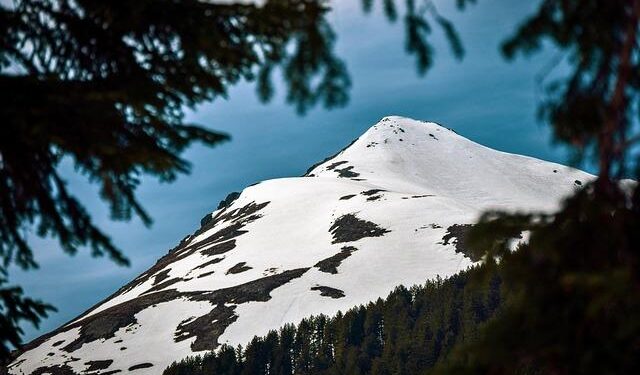 Kosovo president sets December 28 as date for snap vote – Reuters