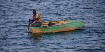 Understanding the evolution and state of democracy in Zimbabwe: When a coup is not called a coup – Brookings