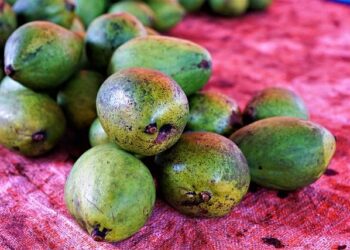 Seychelles to hold rerun presidential election after no candidate won outright – PBS