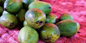 Seychelles to hold rerun presidential election after no candidate won outright – PBS