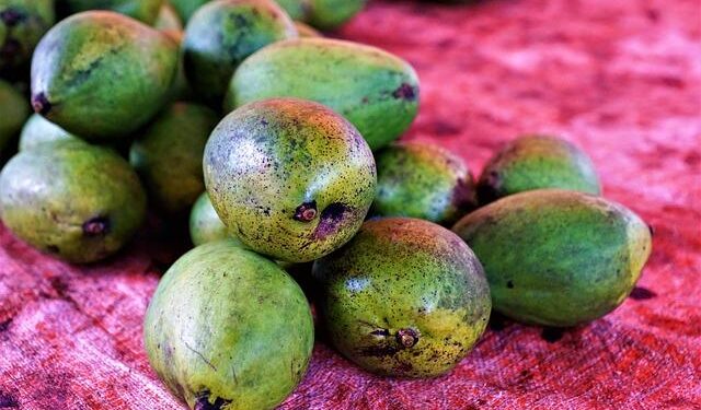 Seychelles to hold rerun presidential election after no candidate won outright – PBS