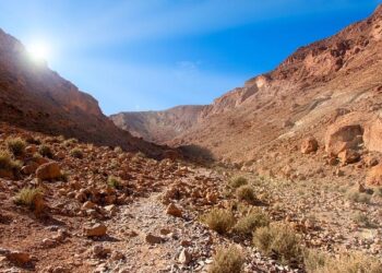 Dirham Rises as Morocco’s Reserves Hit MAD 432.3 Billion and MASI Slips 2.5% – Morocco World News