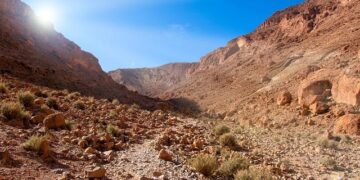 Dirham Rises as Morocco’s Reserves Hit MAD 432.3 Billion and MASI Slips 2.5% – Morocco World News