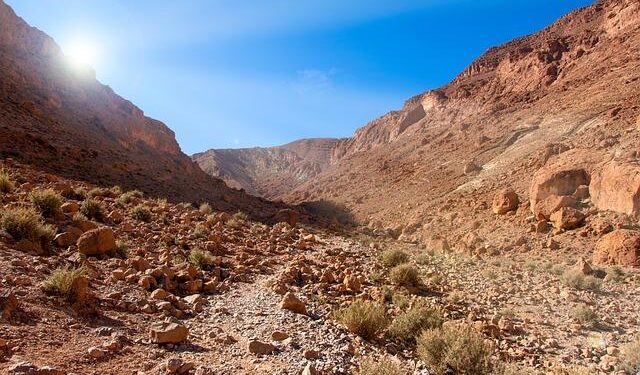 Dirham Rises as Morocco’s Reserves Hit MAD 432.3 Billion and MASI Slips 2.5% – Morocco World News