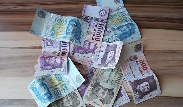 Forint Drops After Hungarian Central Bank Deputy Virag Quits – Bloomberg.com