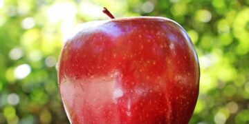 Chiefs of Defence – Albania – nato.int