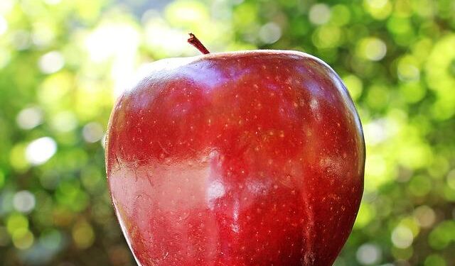 Chiefs of Defence – Albania – nato.int