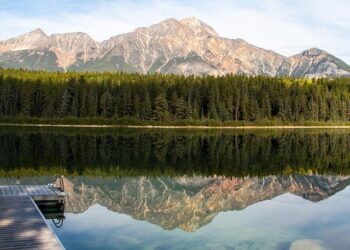 Patricia Pitcairn Obituary (1942 – 2025) – Joliet, IL – Herald-News – Legacy | Obituary