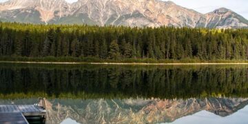 Patricia Pitcairn Obituary (1942 – 2025) – Joliet, IL – Herald-News – Legacy | Obituary