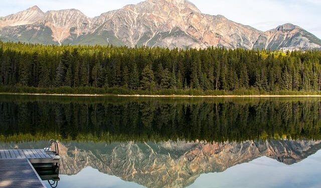 Patricia Pitcairn Obituary (1942 – 2025) – Joliet, IL – Herald-News – Legacy | Obituary