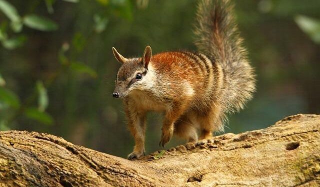 Australia set to spend $2.5b sending 354 former detainees to Nauru – abc.net.au