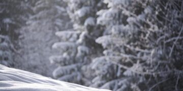 My Swedish Career: The man who brought New Zealand pies to Sweden – The Local Sweden