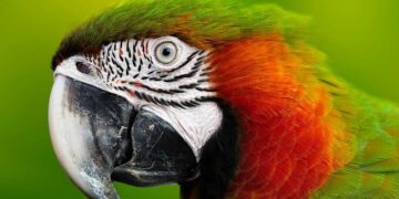 Amazon to invest more than €1.4 billion in the Netherlands – About Amazon Europe