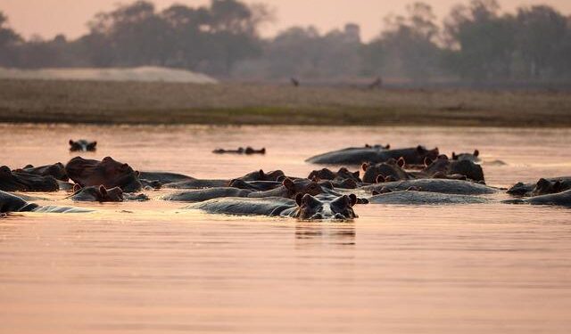 Zambia Discards Five-Year Default Tag With Fitch Ratings Upgrade – Bloomberg.com